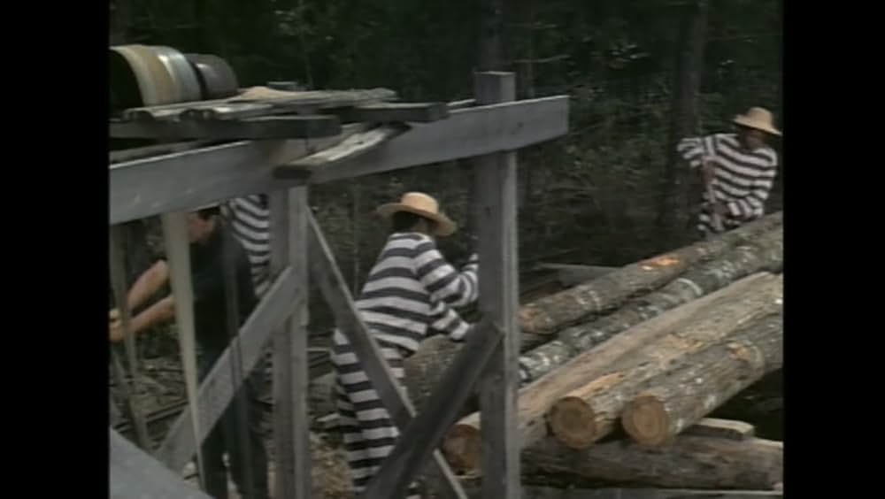 サウンダーの画像