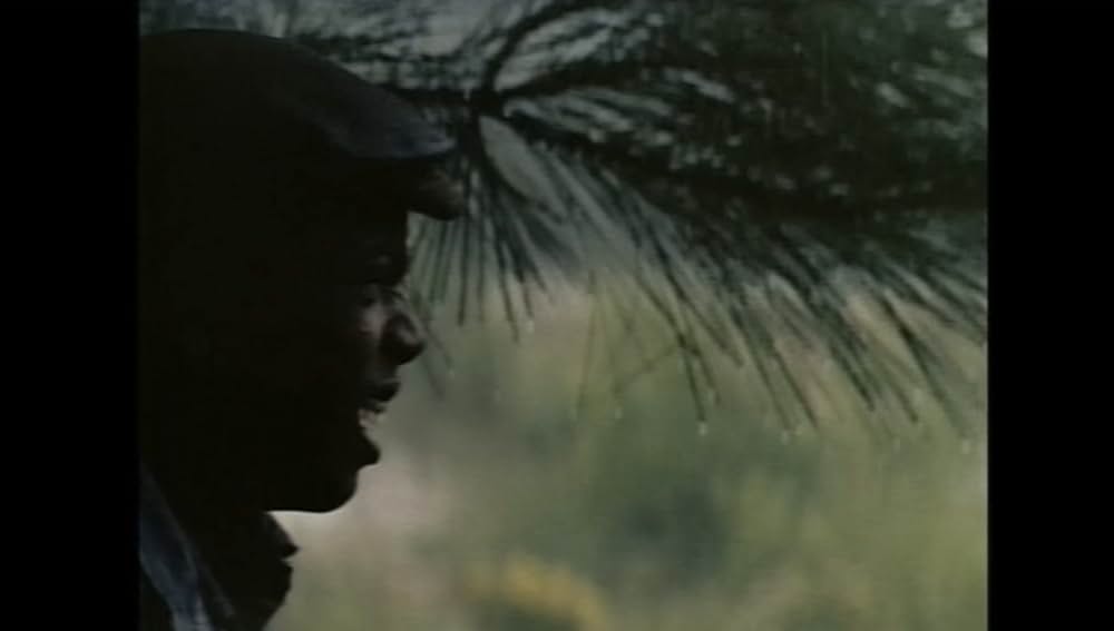 サウンダーの画像