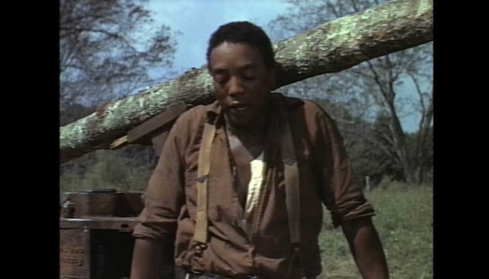 サウンダーの画像