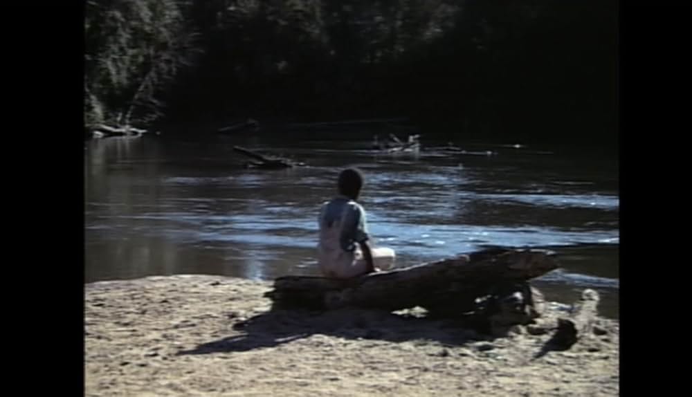 サウンダーの画像