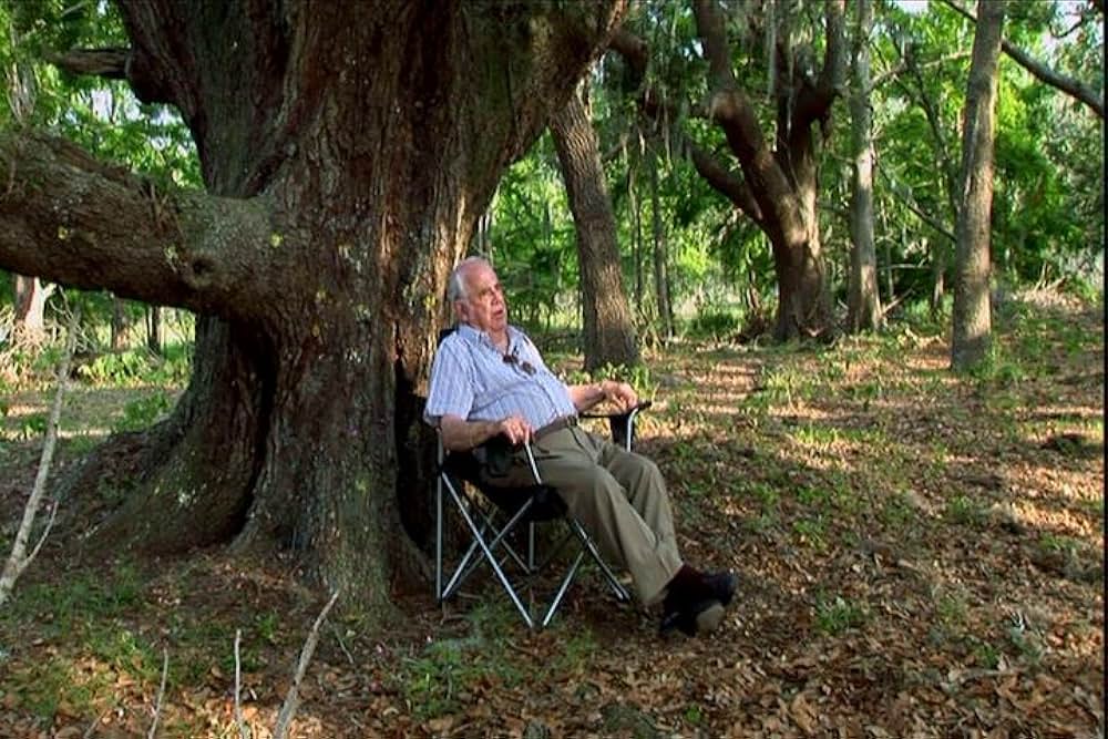 ゴッドファーザー・オブ・ゴアの画像