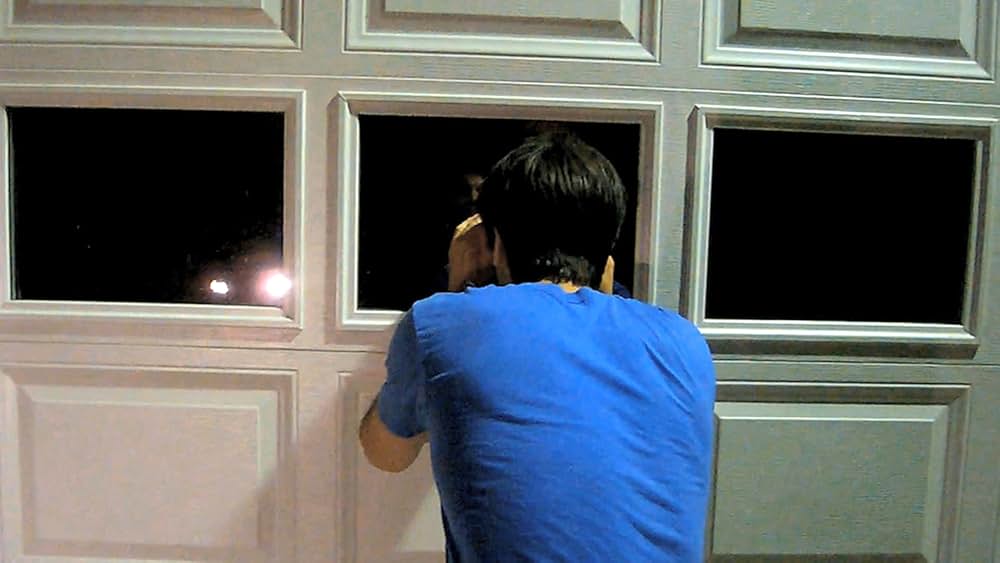 キャットフィッシュの画像