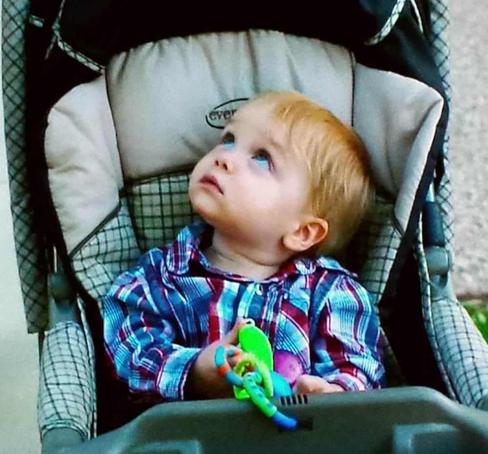 疑惑の男 ドリュー・ピーターソンの画像