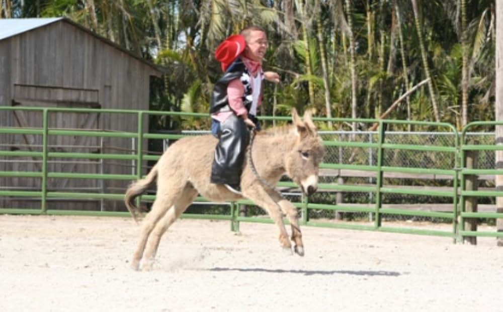 ジャッカス2.5 封・印・解・禁の画像