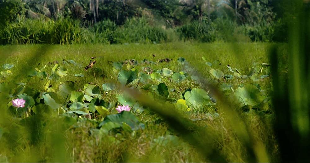 「最初に父が殺された」の画像