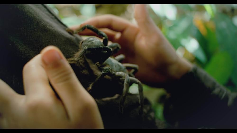 最初に父が殺されたの画像