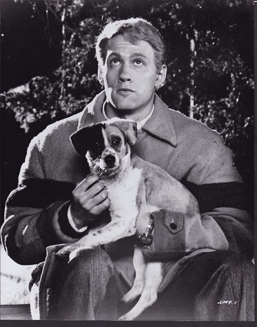 「スローターハウス5」マイケル・サックスの画像