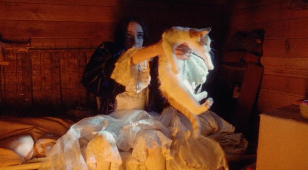 スイート・イースト 不思議の国のリリアンの画像