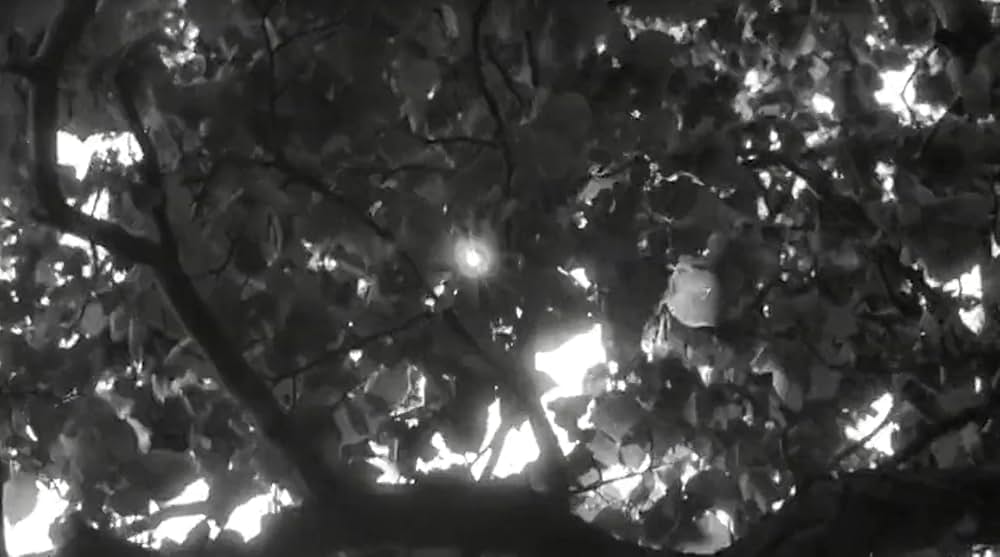 ブロンコ・ブルフロッグの画像