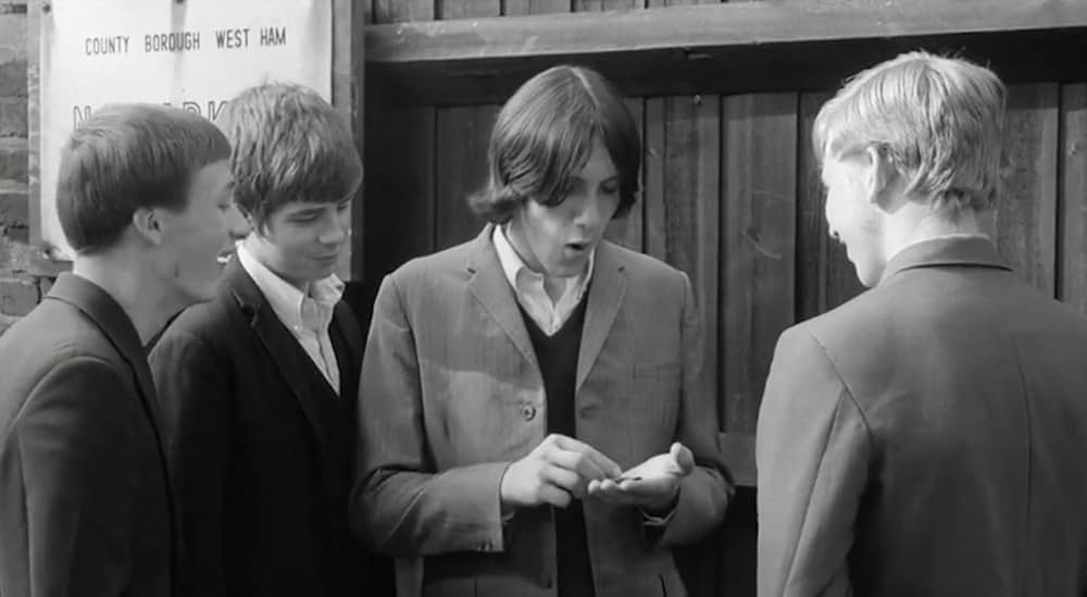 ブロンコ・ブルフロッグの画像