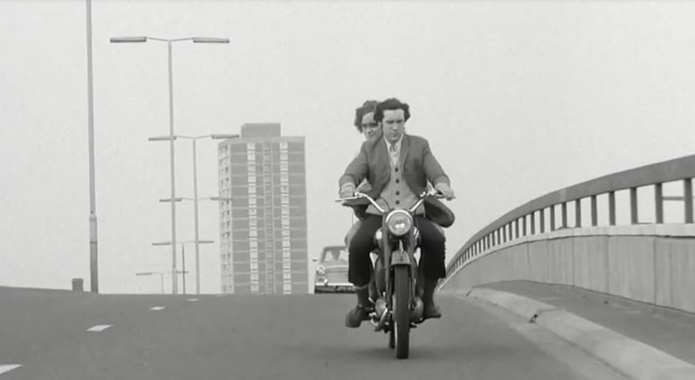 ブロンコ・ブルフロッグの画像