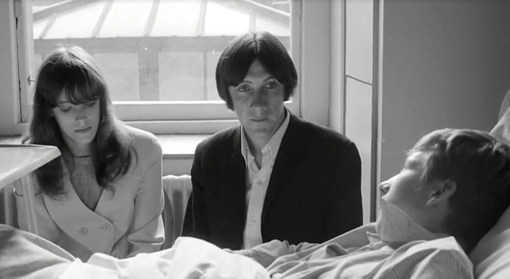 ブロンコ・ブルフロッグの画像