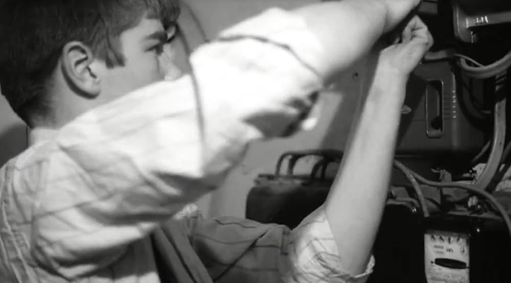 ブロンコ・ブルフロッグの画像