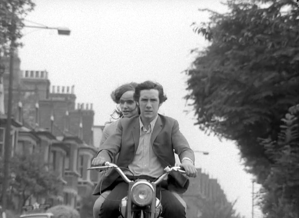 ブロンコ・ブルフロッグの画像