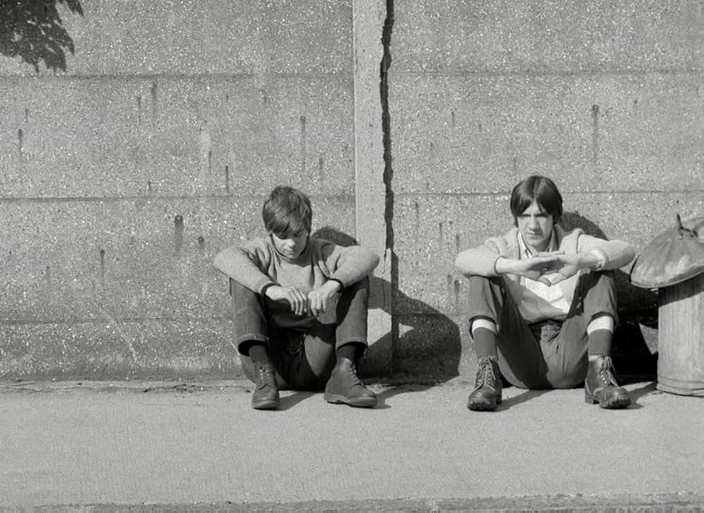 ブロンコ・ブルフロッグの画像