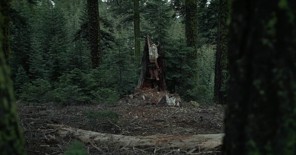 ユニコーン・クエスト 禁じられた森の画像