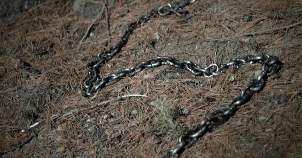 ユニコーン・クエスト 禁じられた森の画像