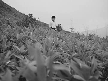 とべない沈黙の画像