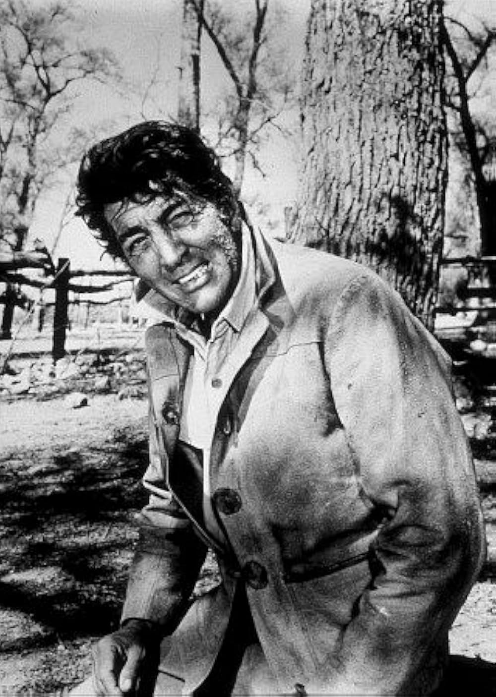 5枚のカードの画像