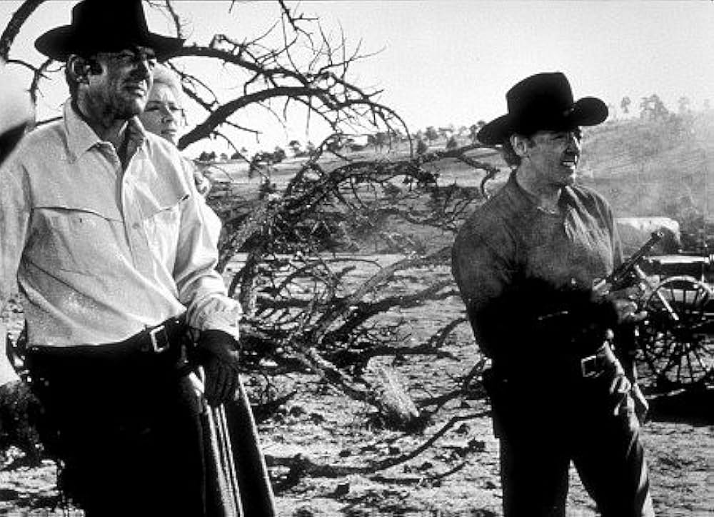 5枚のカードの画像