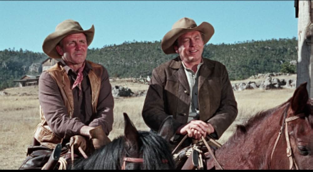 5枚のカードの画像