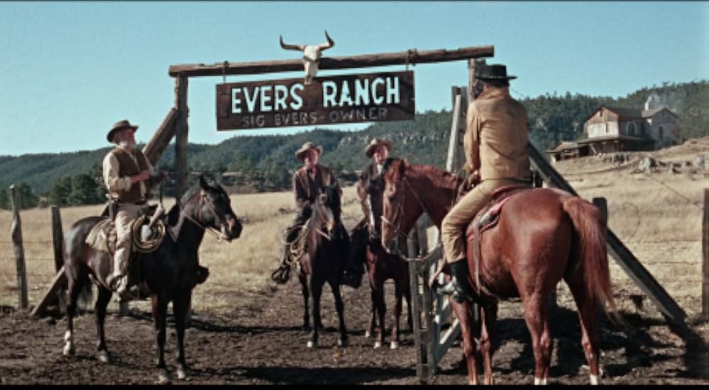 5枚のカードの画像