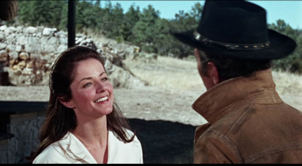 5枚のカードの画像