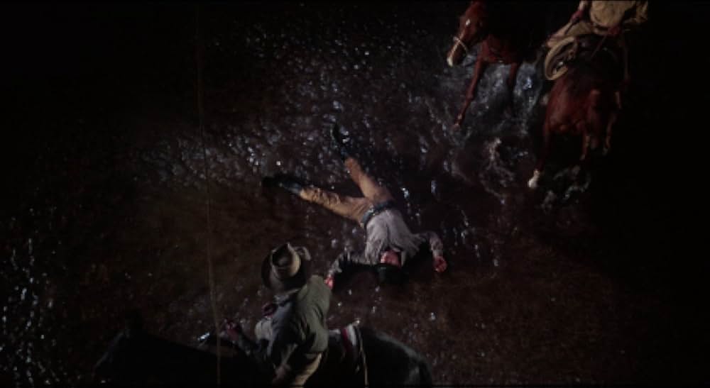 5枚のカードの画像