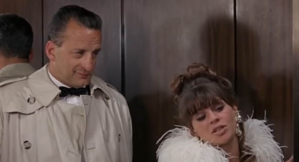 華やかな情事の画像