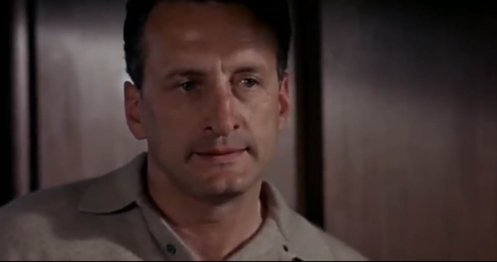 華やかな情事の画像