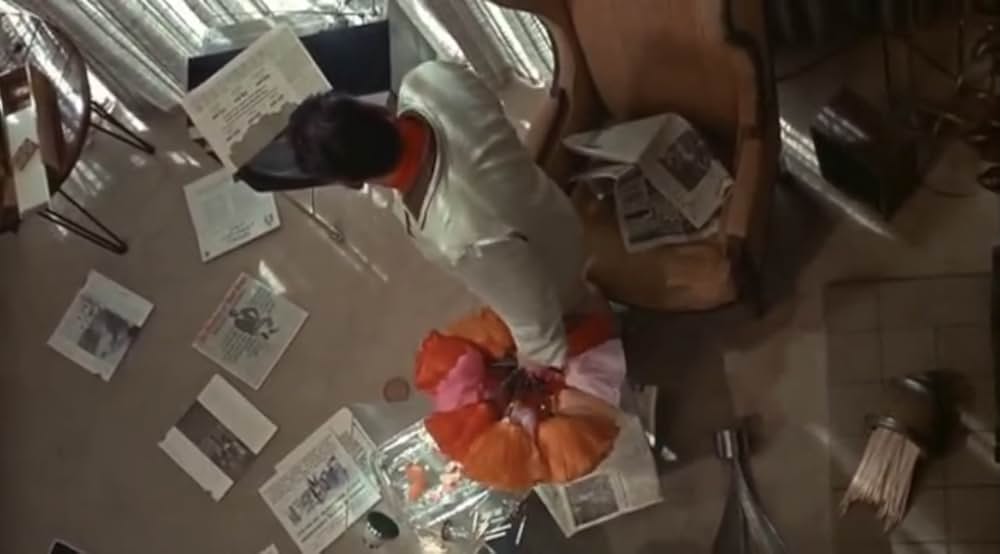 華やかな情事の画像