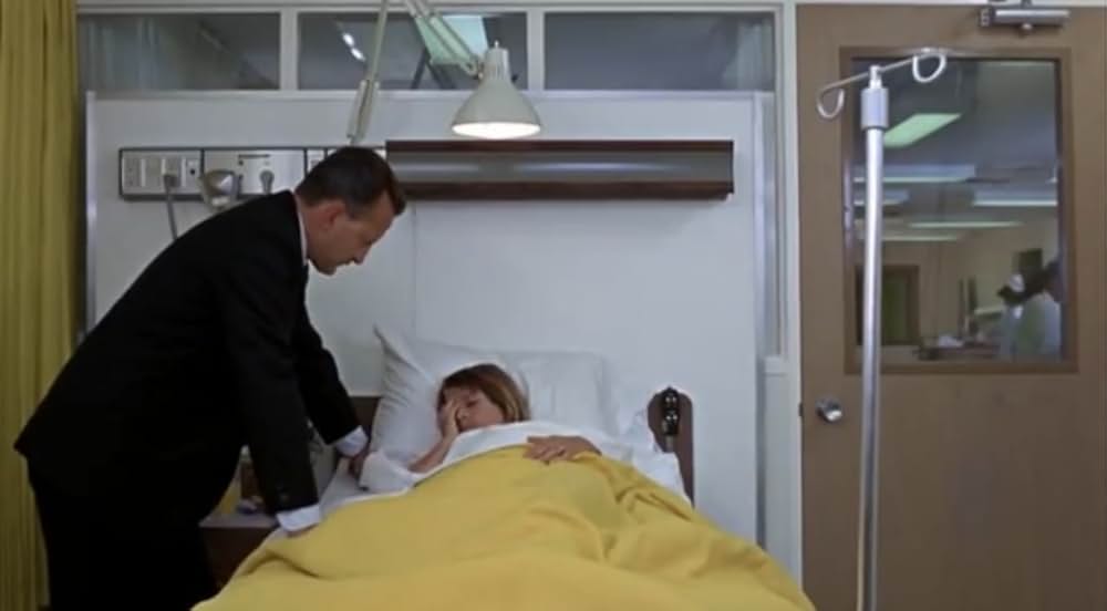 華やかな情事の画像