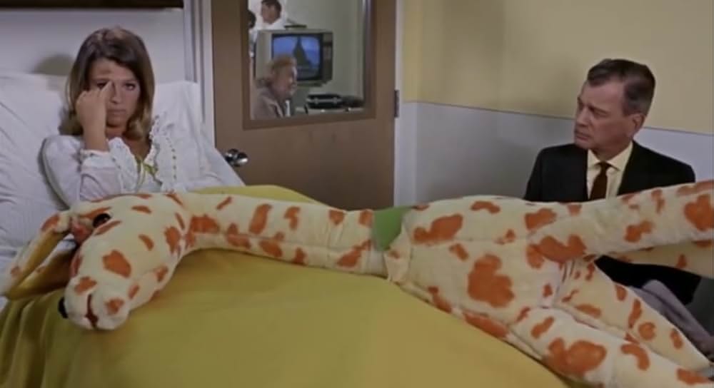 華やかな情事の画像