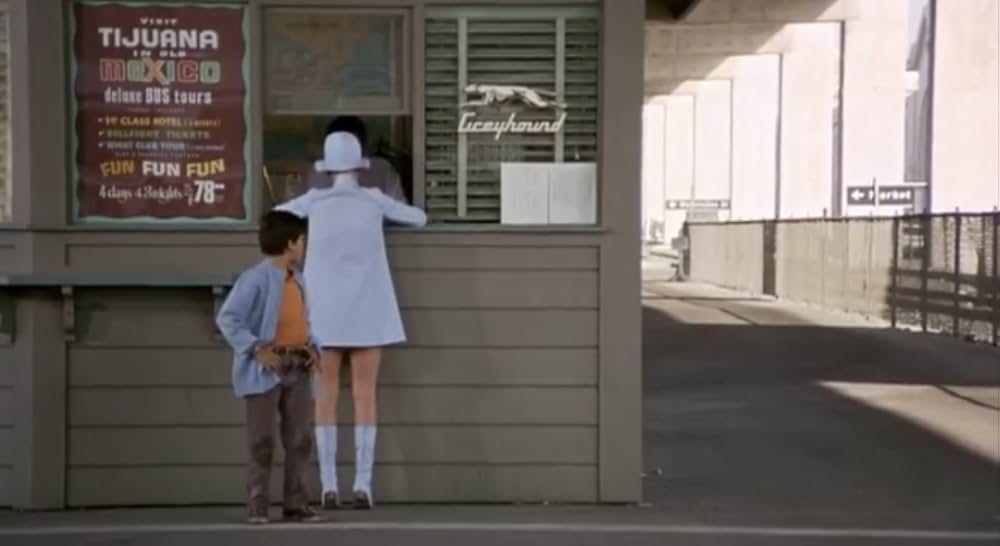 華やかな情事の画像