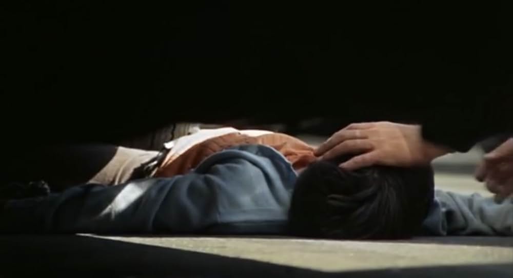 華やかな情事の画像