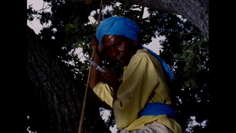 ブワナの悪魔の画像