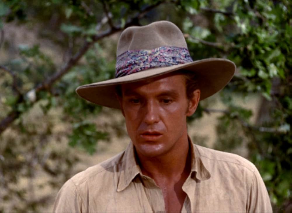 ブワナの悪魔の画像