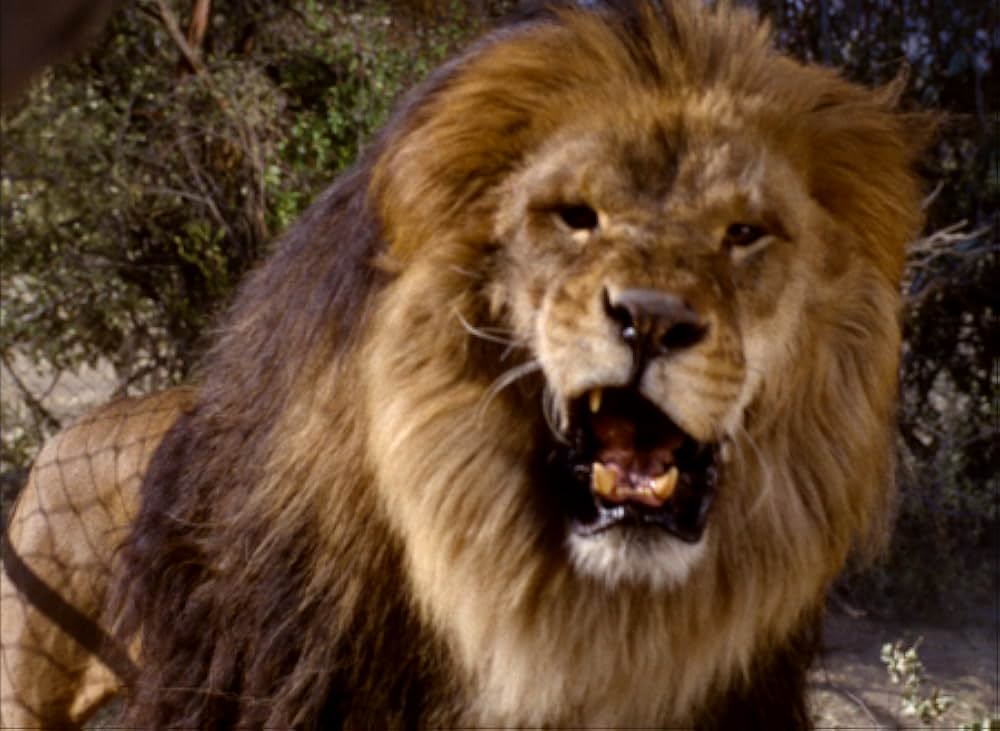 ブワナの悪魔の画像