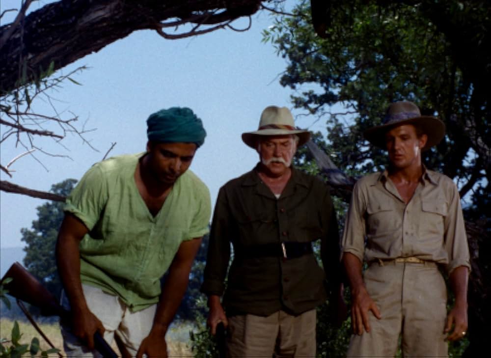 ブワナの悪魔の画像