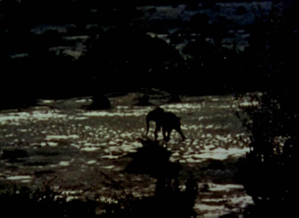 ブワナの悪魔の画像