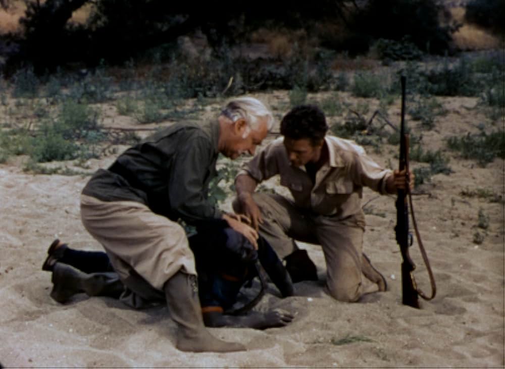 ブワナの悪魔の画像