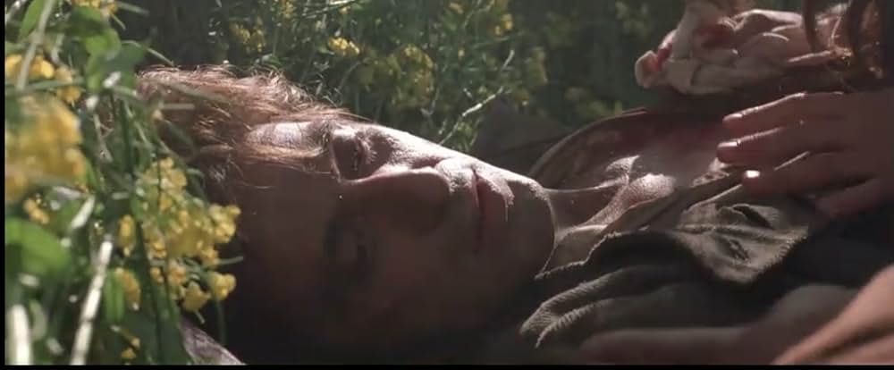 レボリューション めぐり逢いの画像