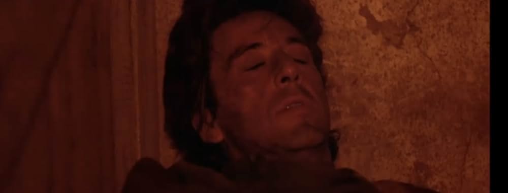 レボリューション めぐり逢いの画像