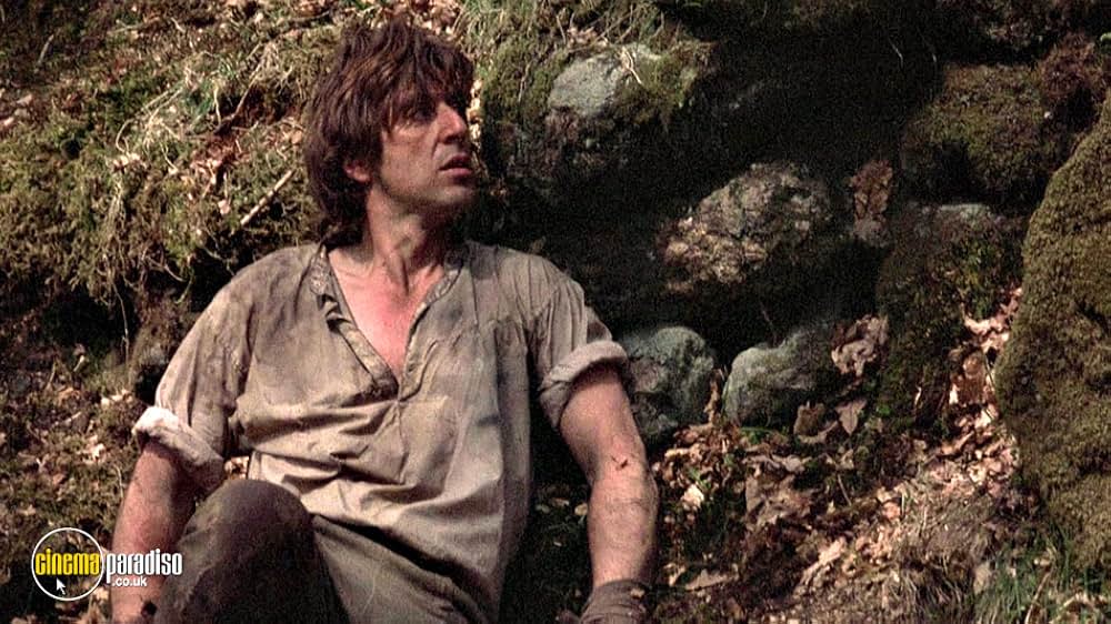 レボリューション めぐり逢いの画像