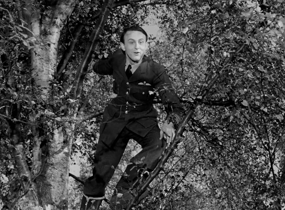 わが一機未帰還の画像