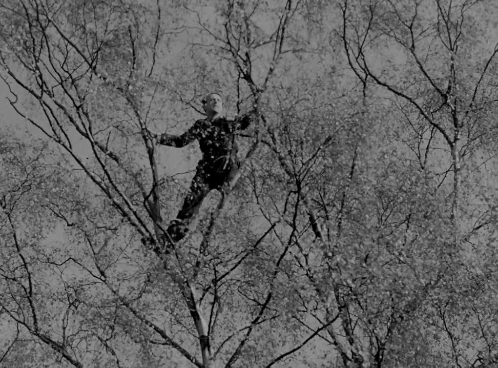 わが一機未帰還の画像