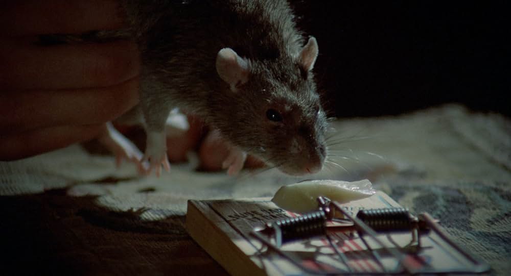 変質犯テリー／殺人コレクターの甘いうずきの画像