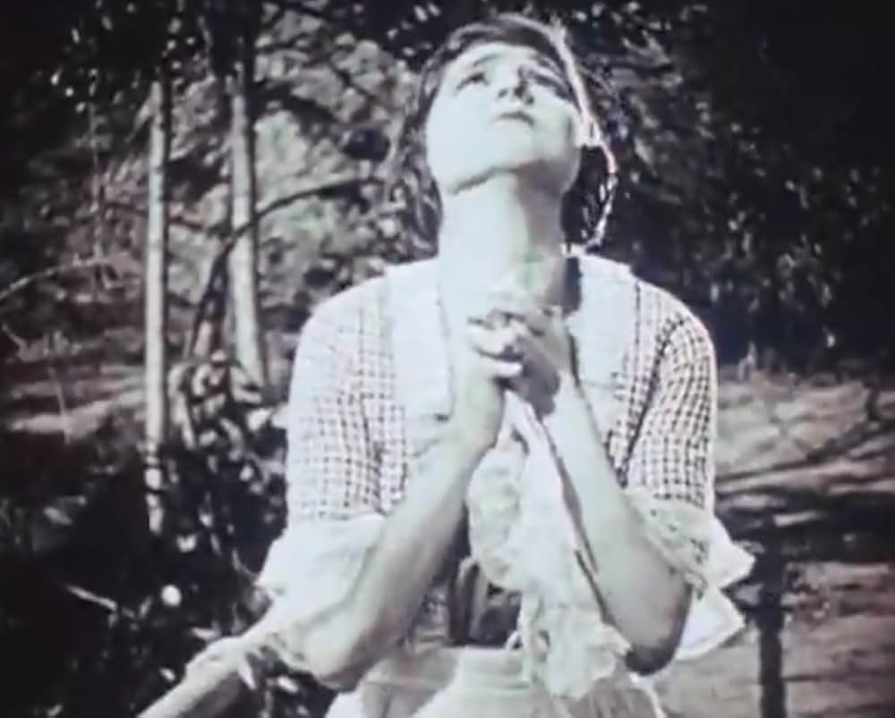 アナトールの画像