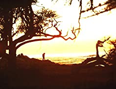 恐怖のメロディの画像