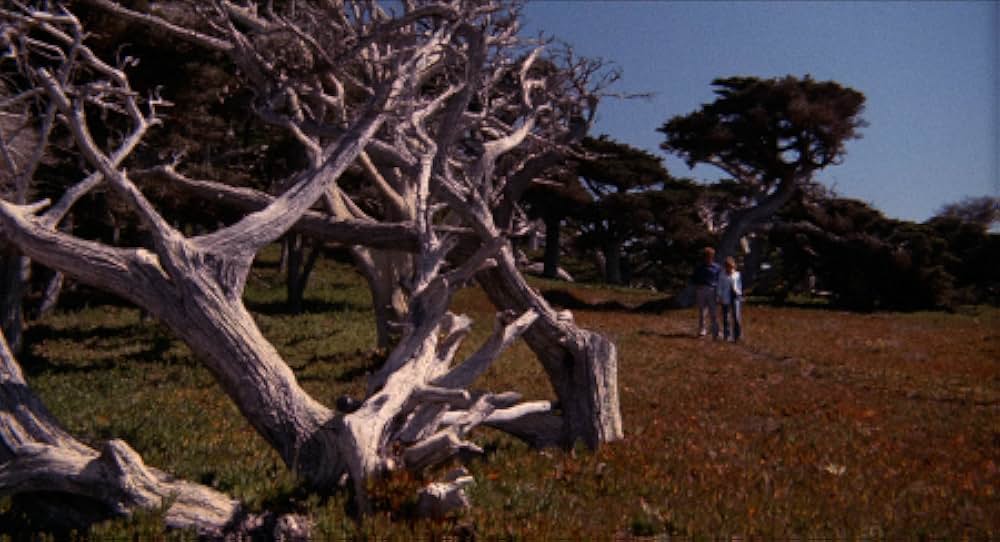 恐怖のメロディの画像